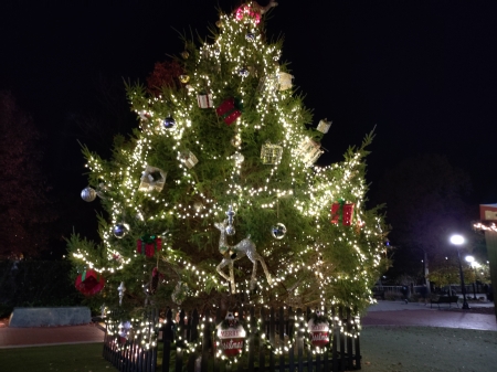 Bohemian Lodge, l'arbre de Noël