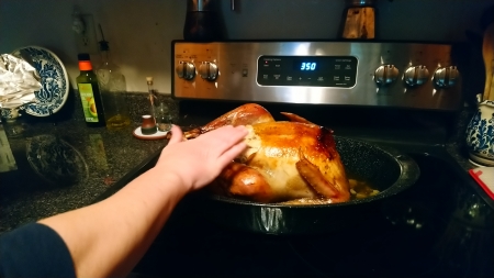 Thanksgiving. The turkey