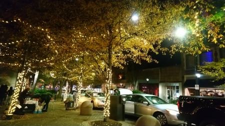 Greenville, les lumières de Noël (2)