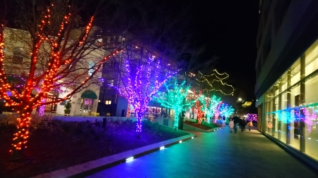 Greenville, les lumières de Noël