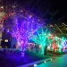 Greenville, les lumières de Noël