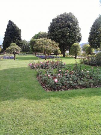 Le jardin de Cimiez et ses nouvelles roses