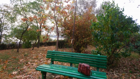 Le banc dans le jardin de l'église