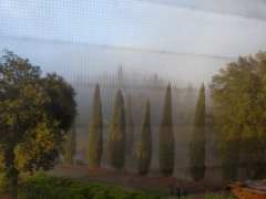 voyage,italie,automne