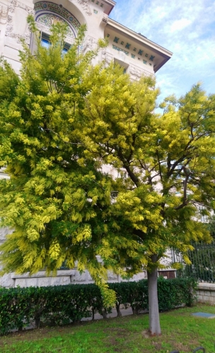 europe,roumanie,etats-unis,décisions