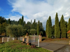 20250926_091624028.JPG
